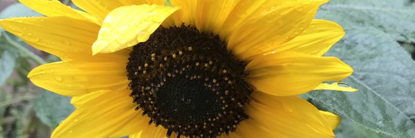 _abpxo Profile Banner