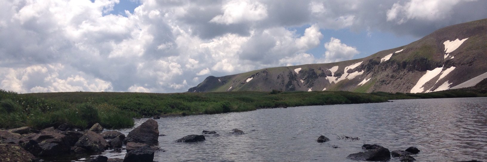 Vanessa Gregory banner