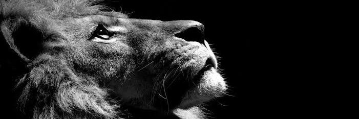 Buneabiyaaaa's profile banner image