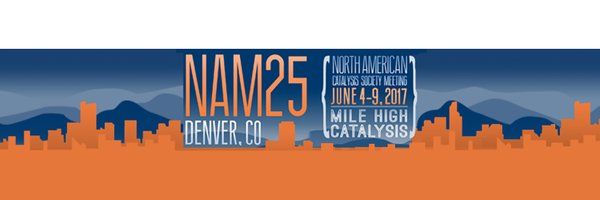 NAMCATSOC Profile Banner
