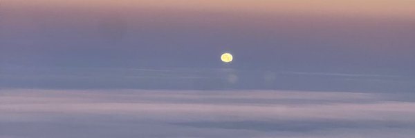 shanefan0x Profile Banner