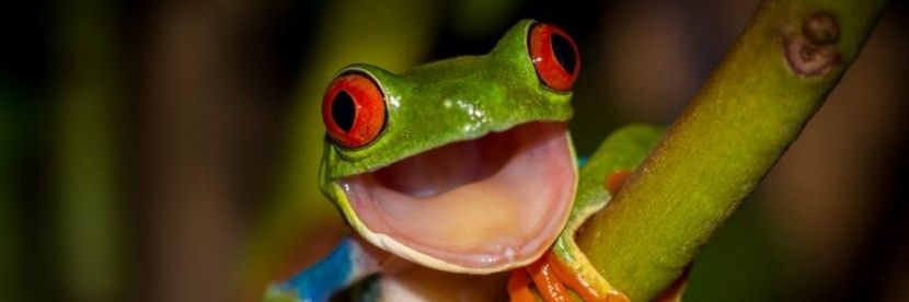 EnriqueEdu's profile banner image