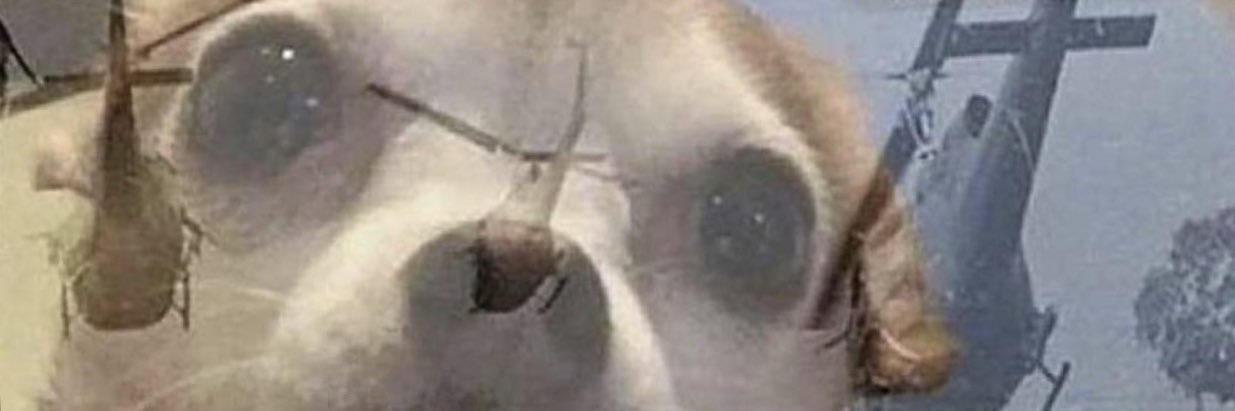 CodyPitch's profile banner image
