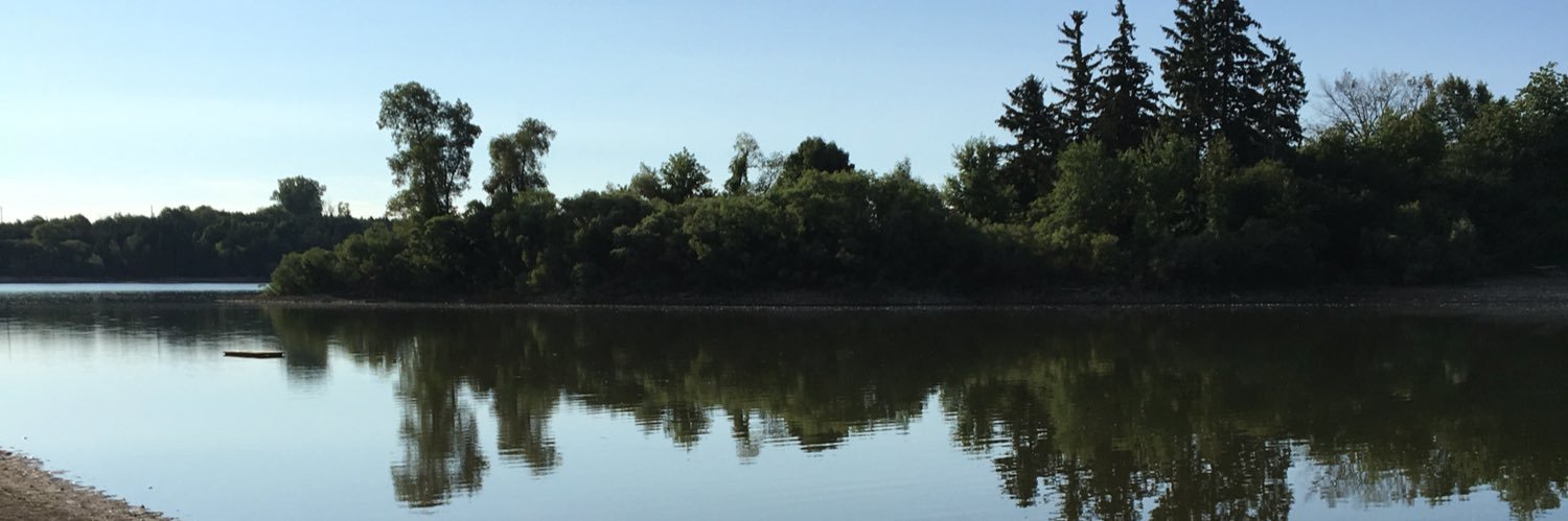 tinadeforest's profile banner image
