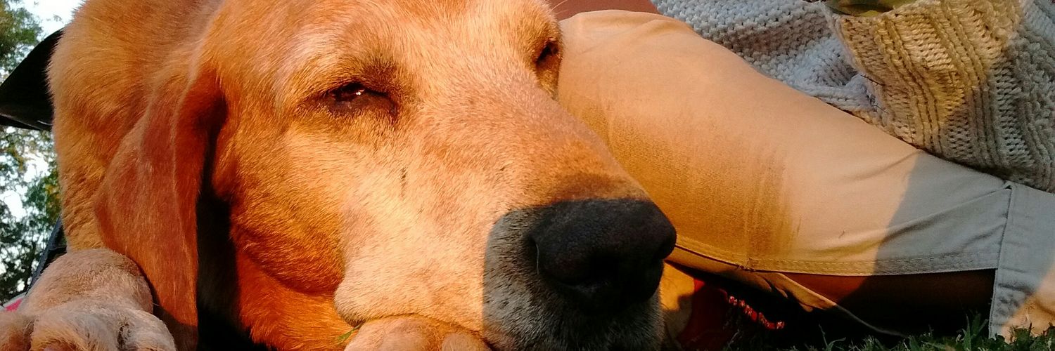 JuliMzg's profile banner image