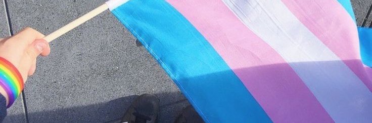 DawnElaraa's profile banner image