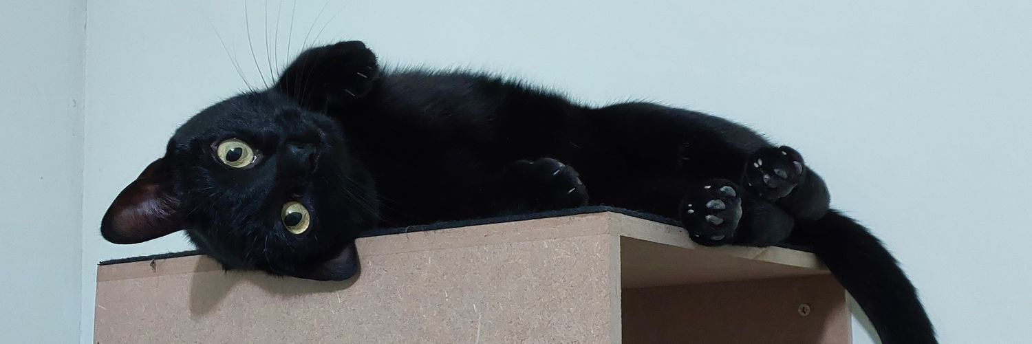SleepyDafne's profile banner image