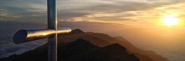 fmedinarod's profile banner image