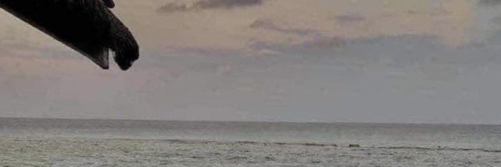 SumayaAloumi's profile banner image