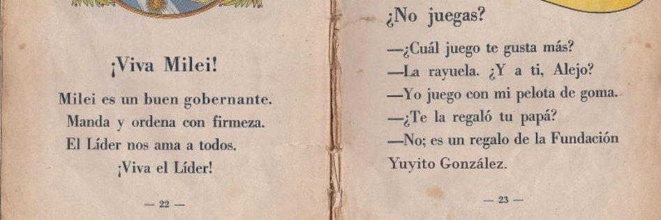 Juan Domingo Milei banner