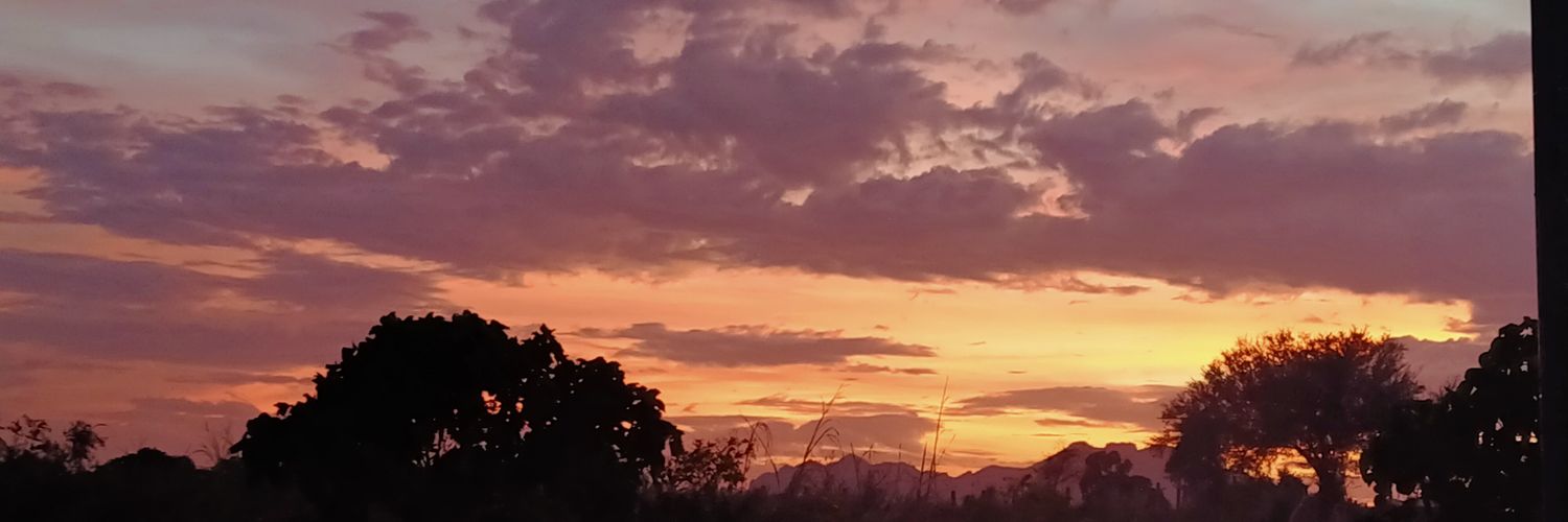 PowerlessQueen's profile banner image