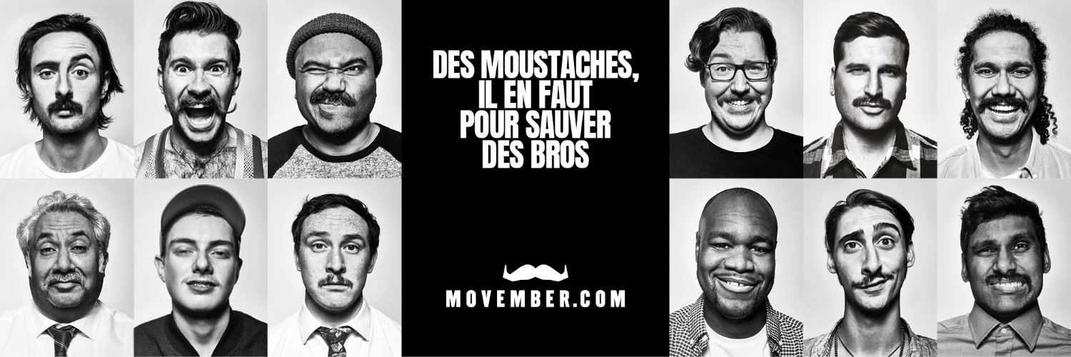 Movember France banner