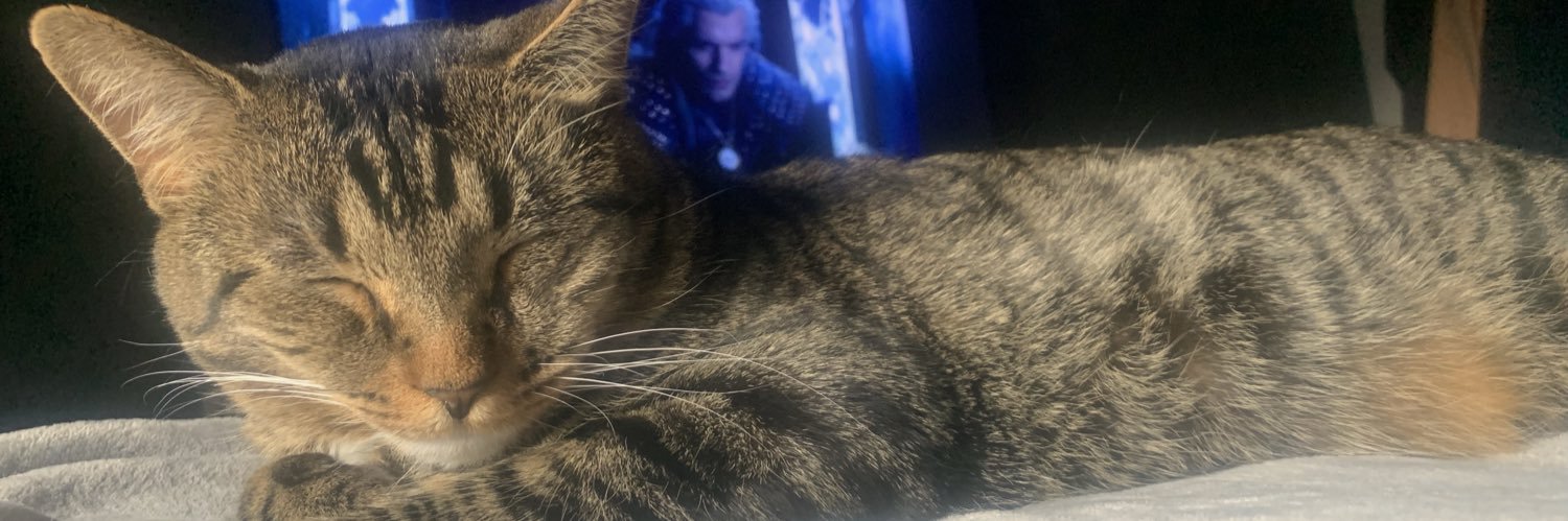 Sophiestevenss's profile banner image