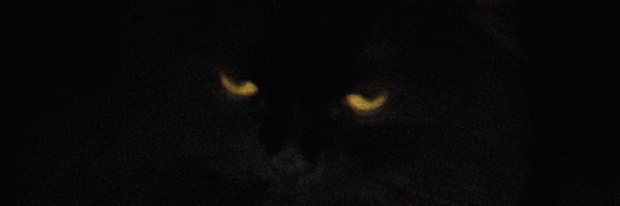 Alkhanoom's profile banner image