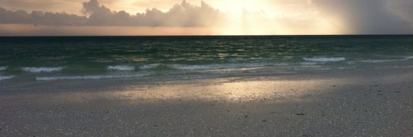 4vert Profile Banner