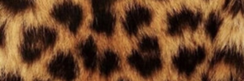 hikkun06's profile banner image