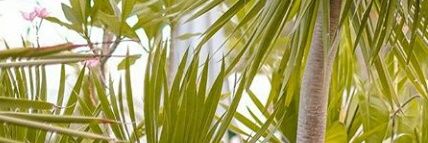DVAidaandu's profile banner image