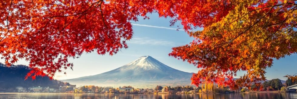 Kobayaşi 🇯🇵🐳🚀 banner