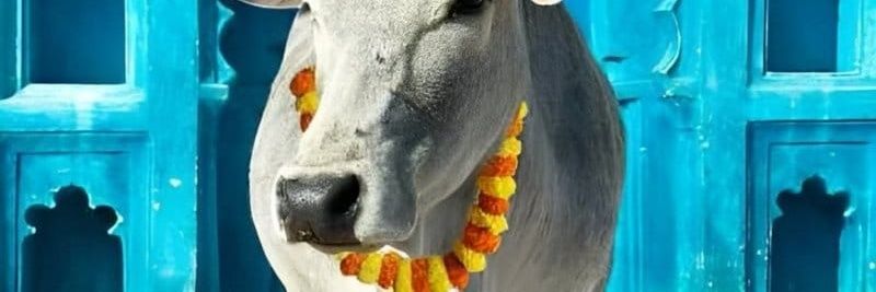 drashishsharma's profile banner image