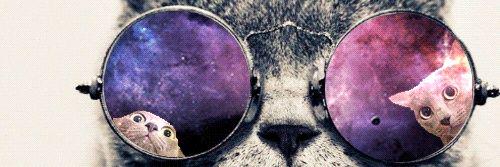 OlgaGonzalezF's profile banner image