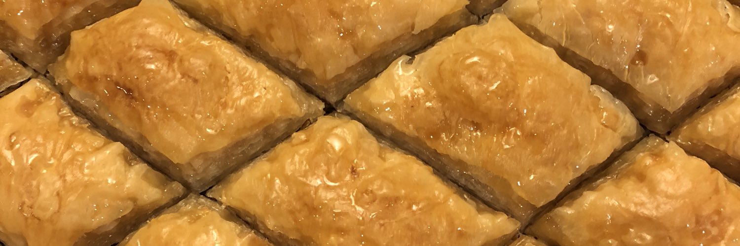 Elaine Angelo banner