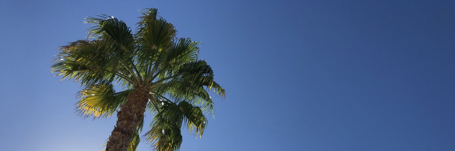 nlgjaLA's profile banner image