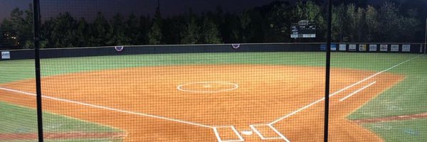 MVBearsSoftball Profile Banner