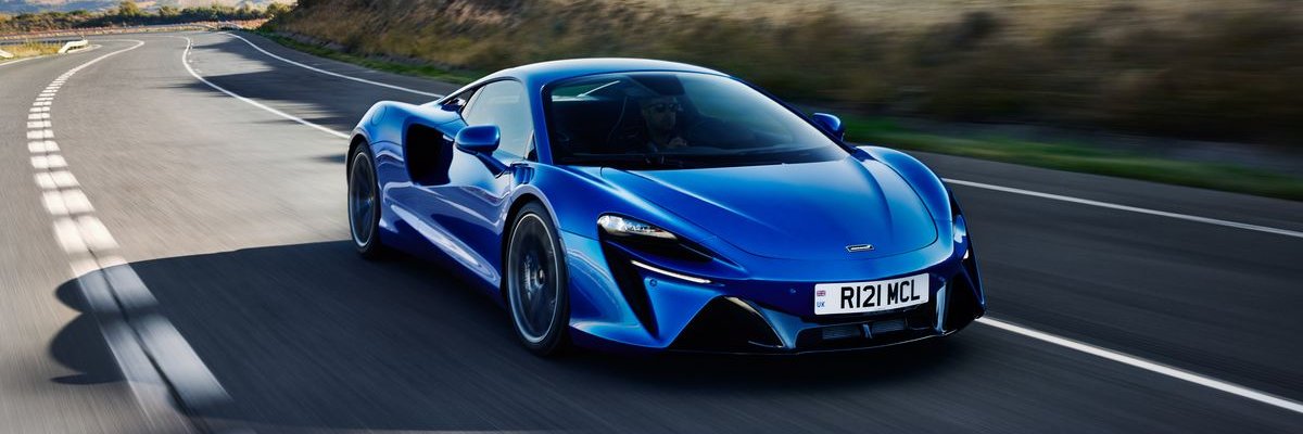 Sherry Volkaert banner