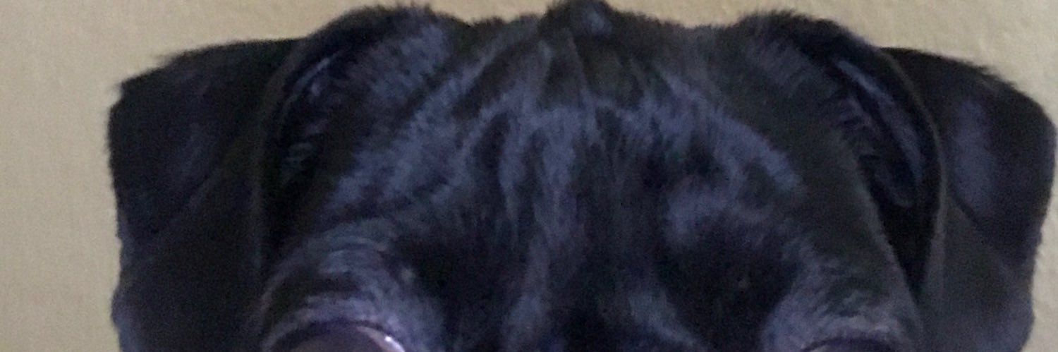 TheWhiteMamba03's profile banner image