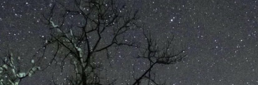 mariamsh_97's profile banner image