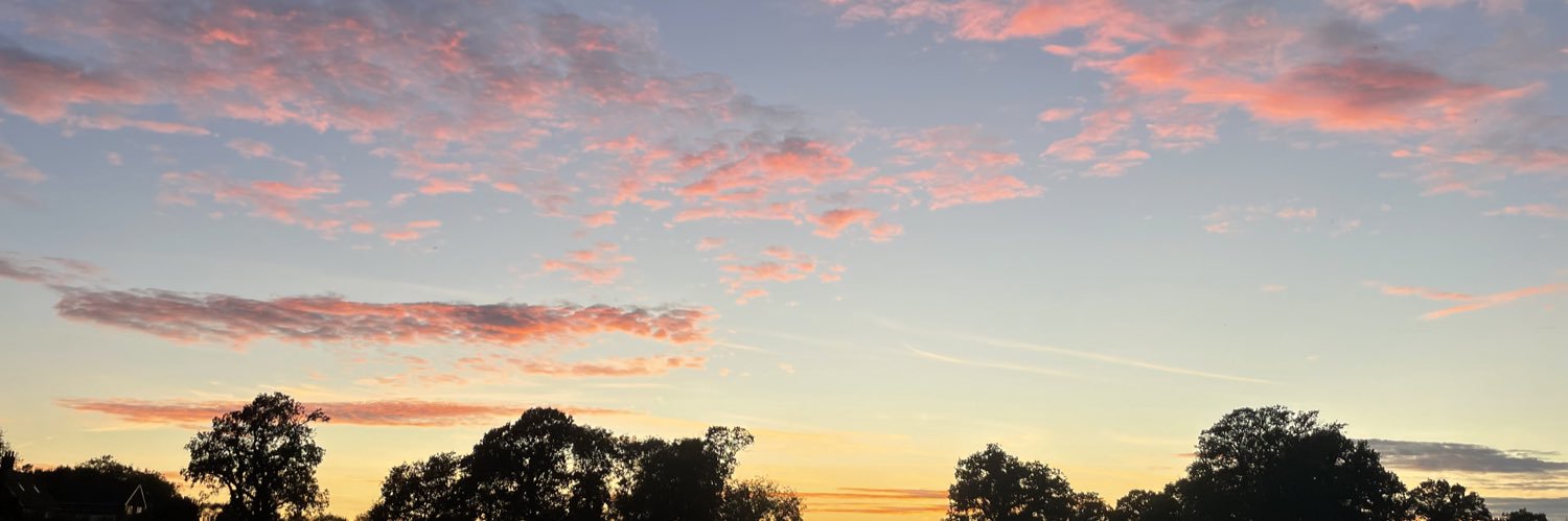pyzer_'s profile banner image