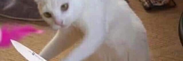 slideatasjalan's profile banner image