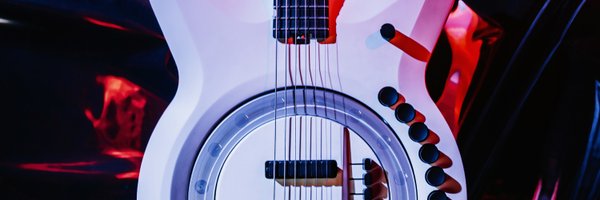 guitar Profile Banner