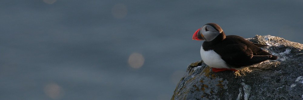 ER720's profile banner image