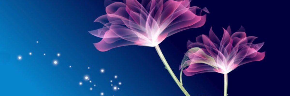 Dominik Horák banner