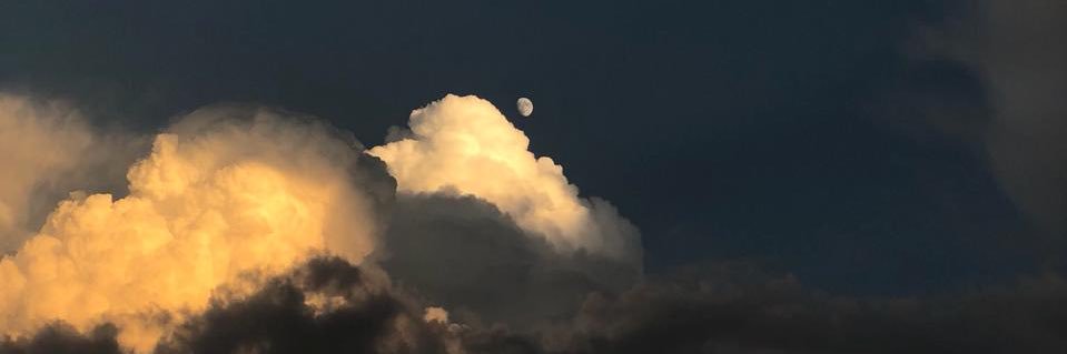 Callme_fofo's profile banner image