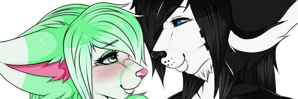 Peppy_wolf's profile banner image