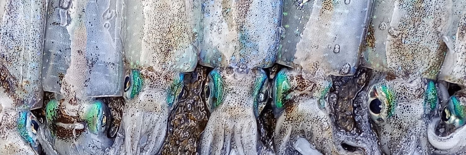 bd_laima's profile banner image