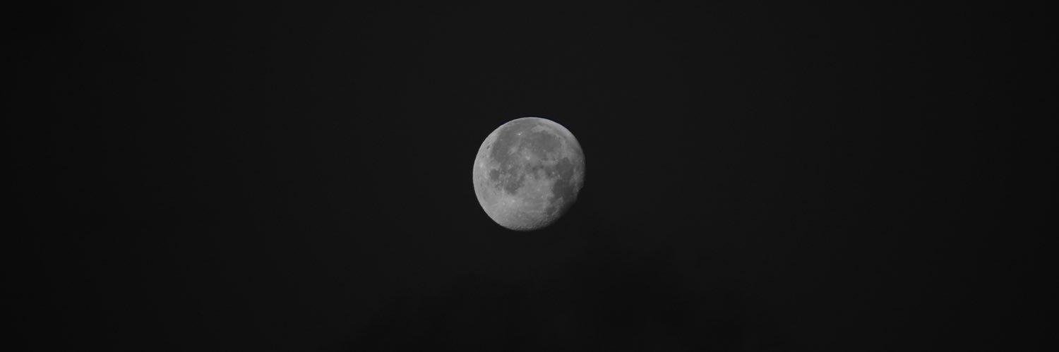 zli1_'s profile banner image