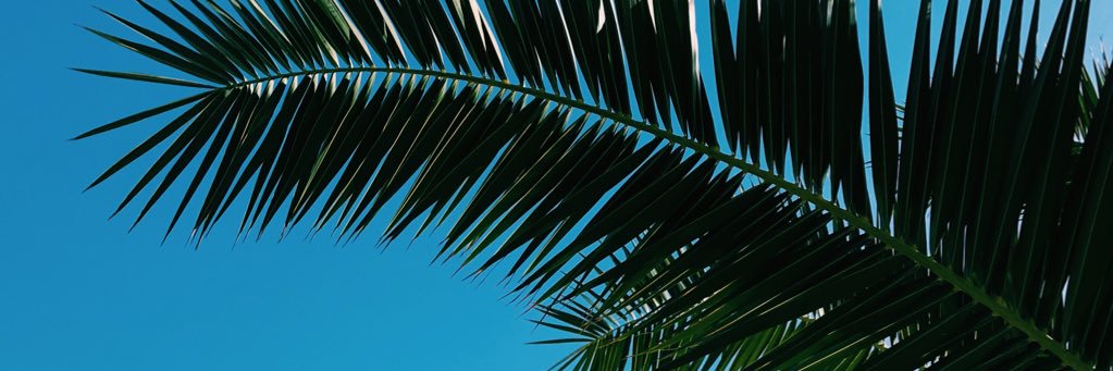 ellebxx's profile banner image