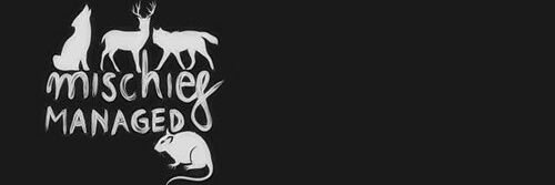 Bellatrix Lestrange banner