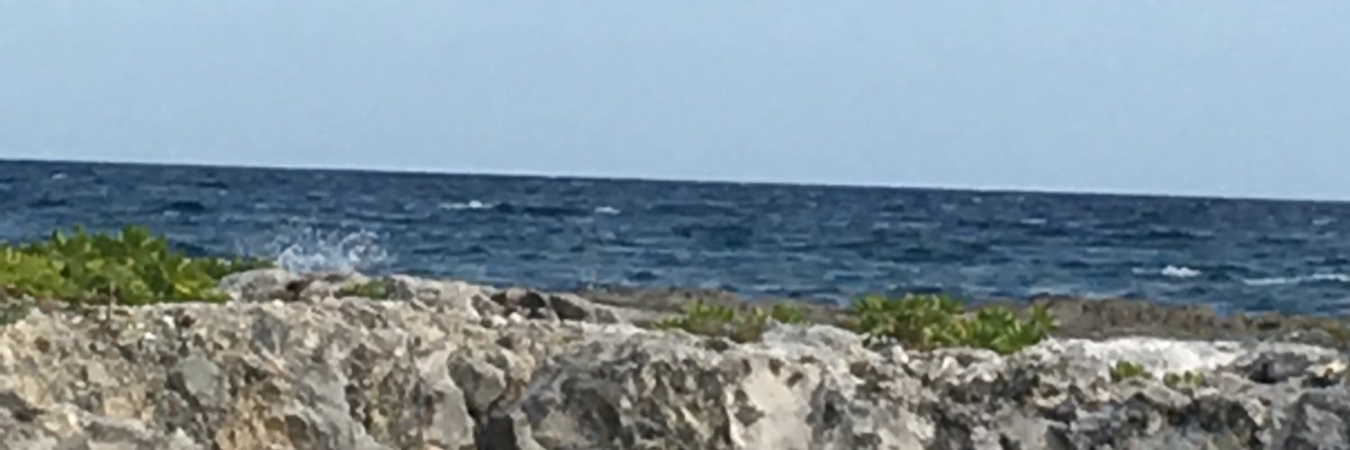 Dr. Mecca Marsh banner