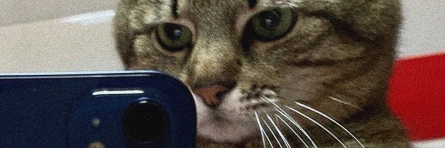 LucasSeccati's profile banner image