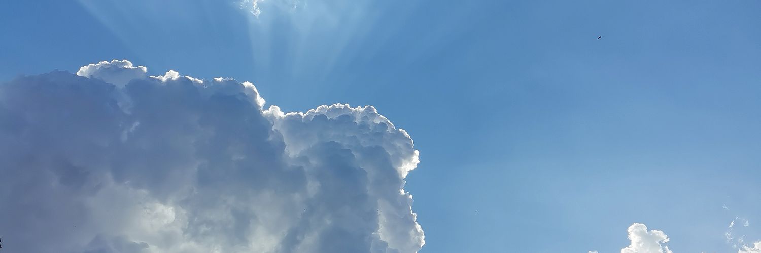 LGR_everlasting's profile banner image