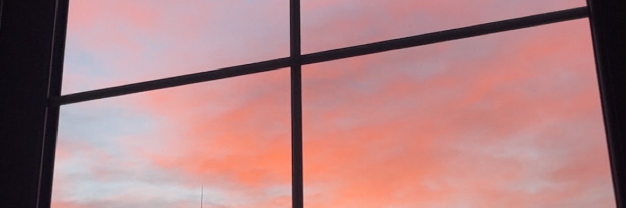 l o u i s e banner