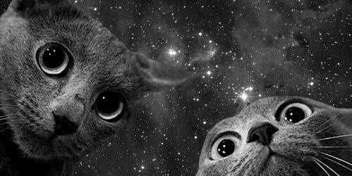 Gavooc's profile banner image