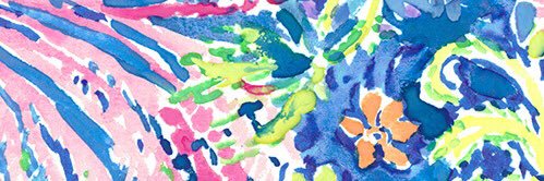 stephisousa's profile banner image