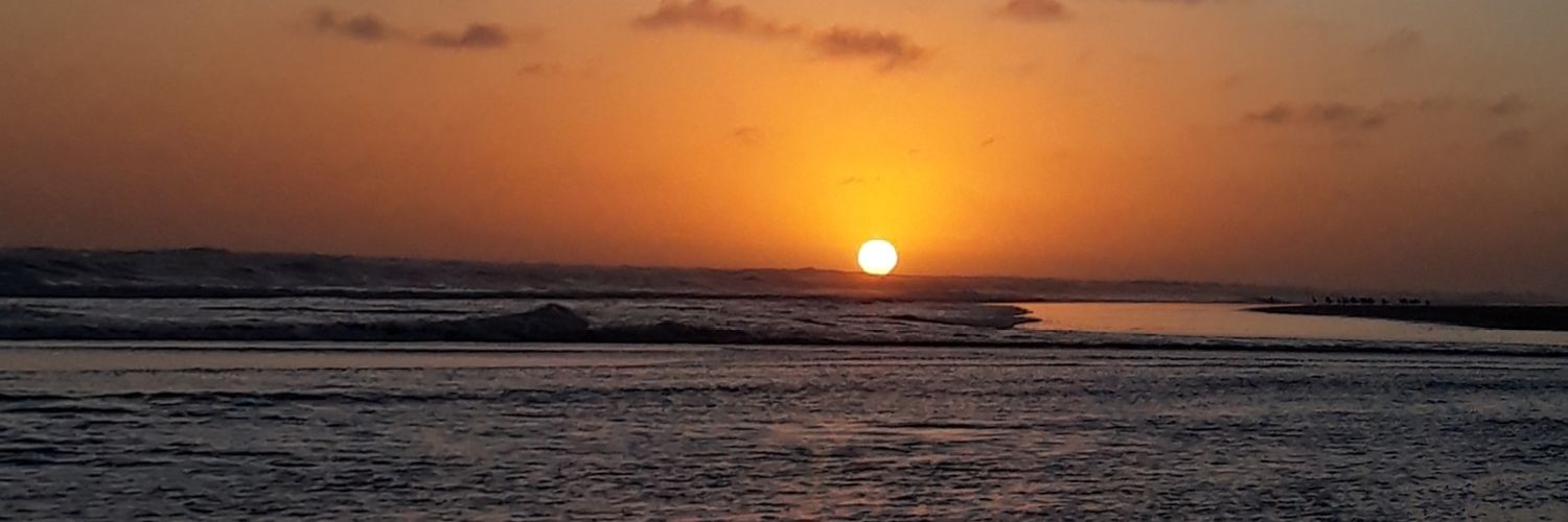 Belebasualdo's profile banner image