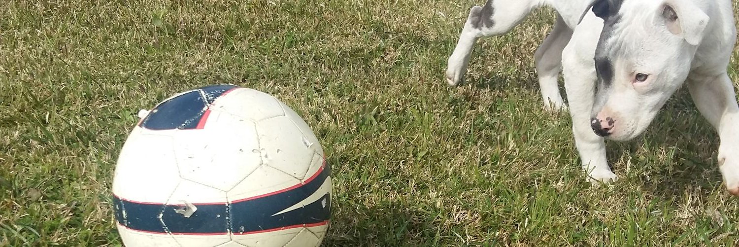 MartinMT11's profile banner image