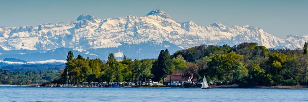 Gabriele D'Ambrosio banner